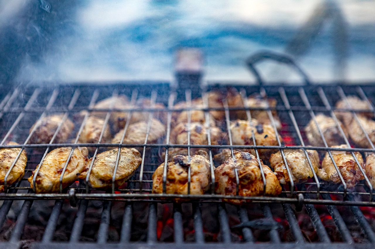 Salmon vs Chicken Protein