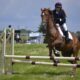 Used Horse Jumps