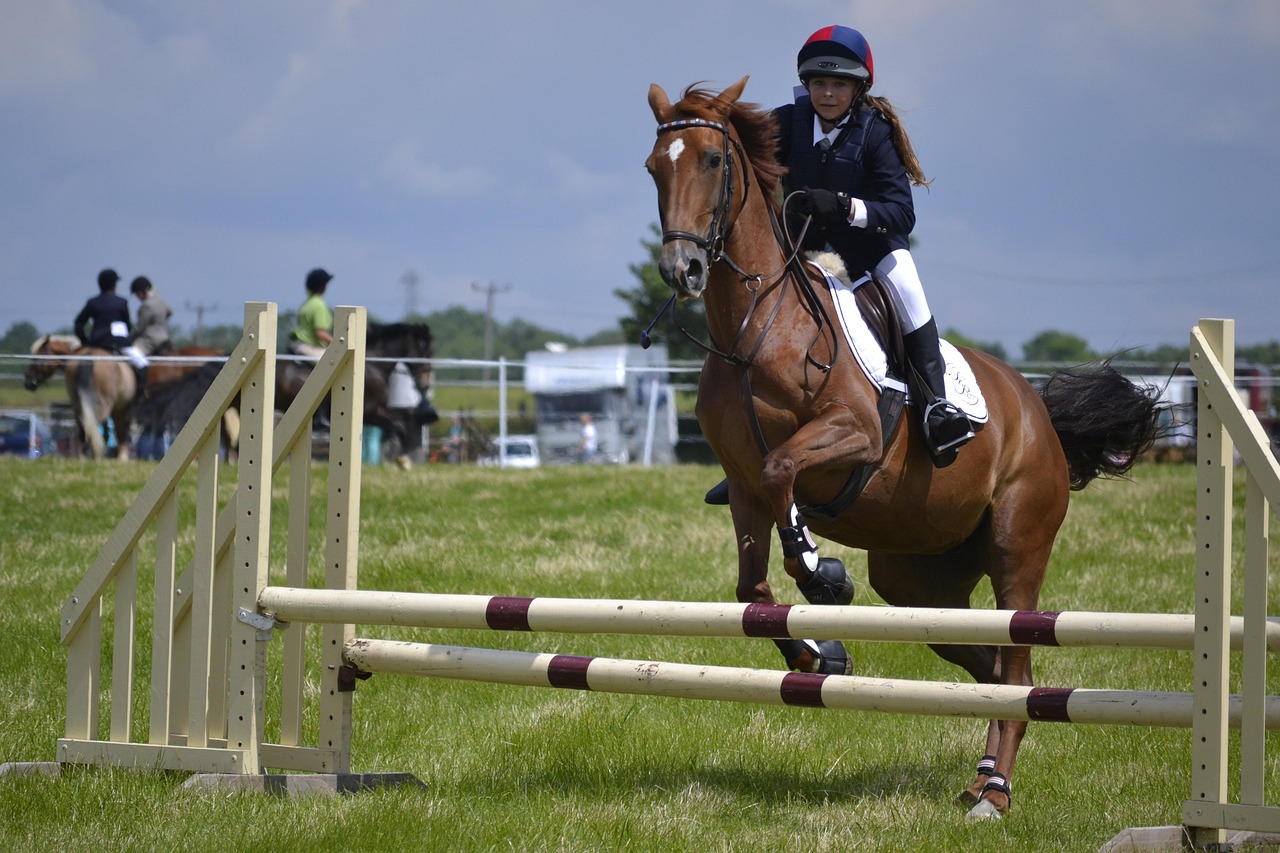 Used Horse Jumps