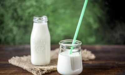 Is Chobani Yogurt Healthy