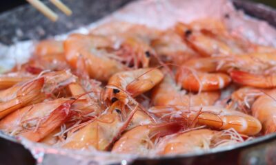 How Long Does Shrimp Last in the Fridge