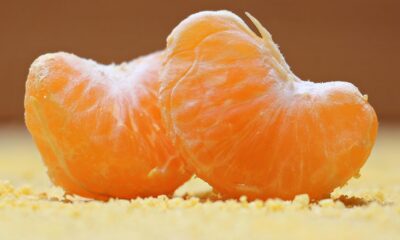 Orange Slices