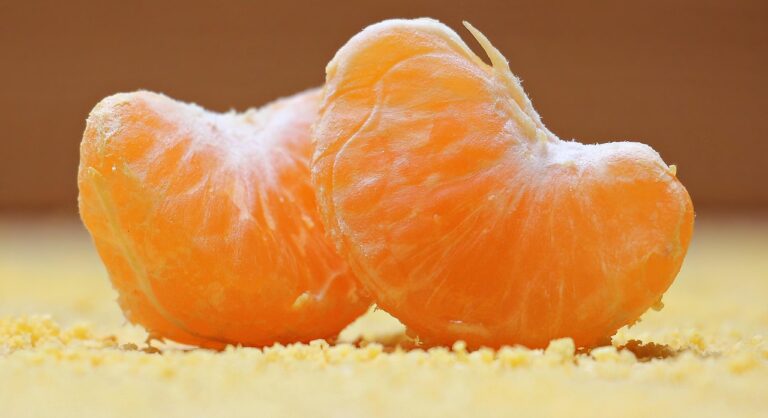 Orange Slices