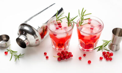 Cranberry Paloma