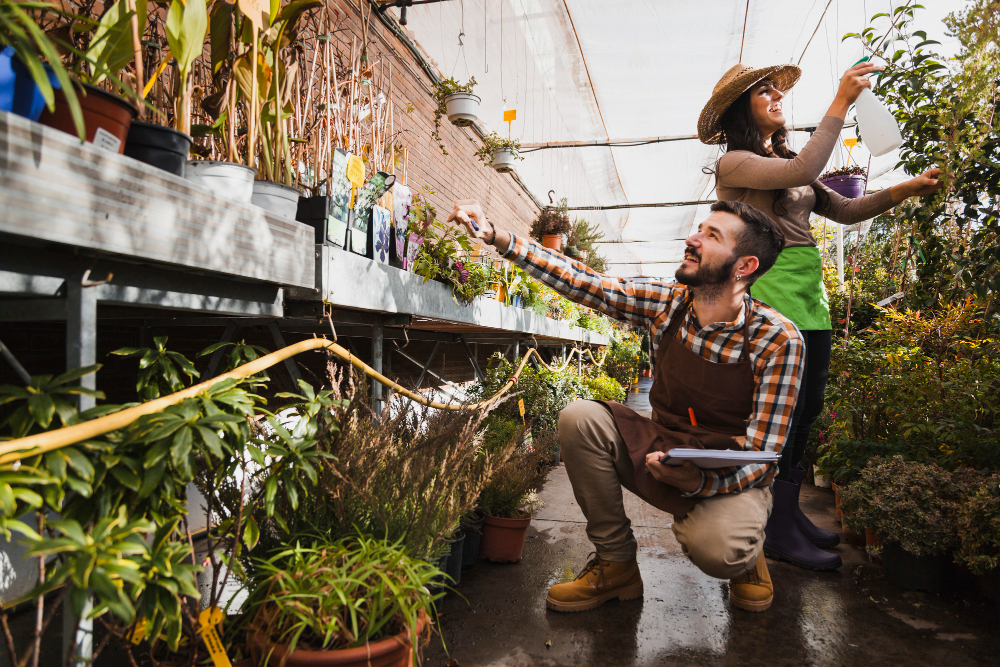 DIY and Structural Gardening