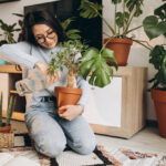 Indoor and House Plants